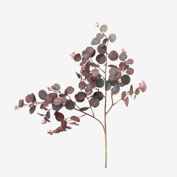 Burgundy Eucalyptus